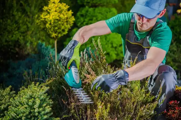 landscaping services Loch Sheldrake